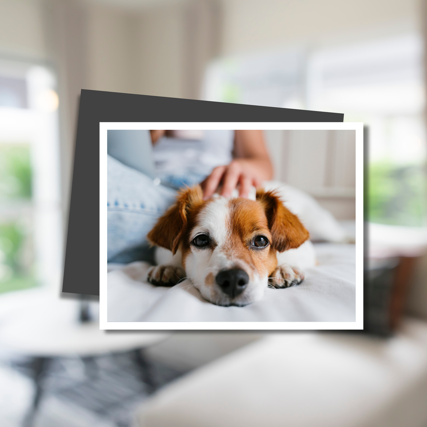 Flexible Custom Photo Magnet Set – 12-Pack, Made in Canada
