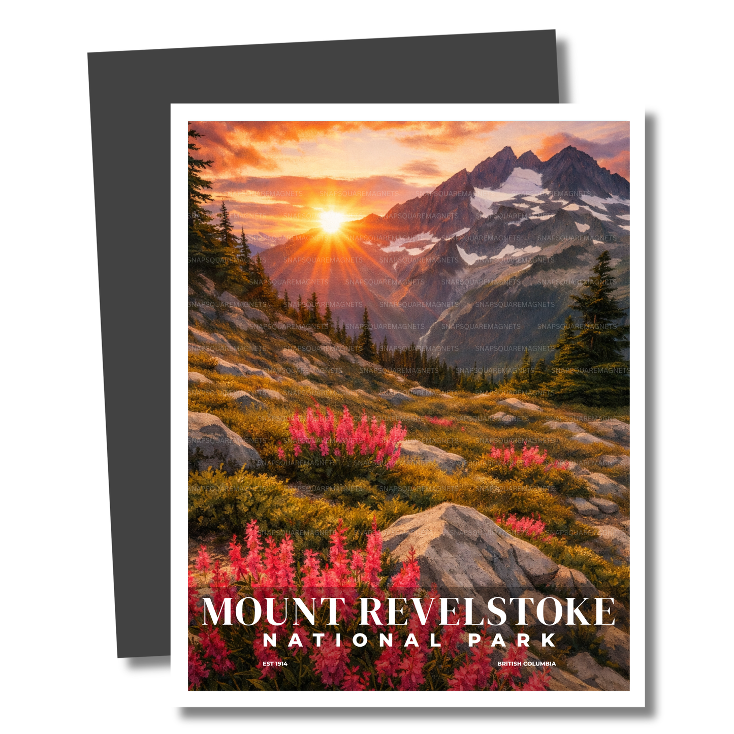 Magnet of Mount Revelstoke National Park with a sunset over mountains and pink flowers.