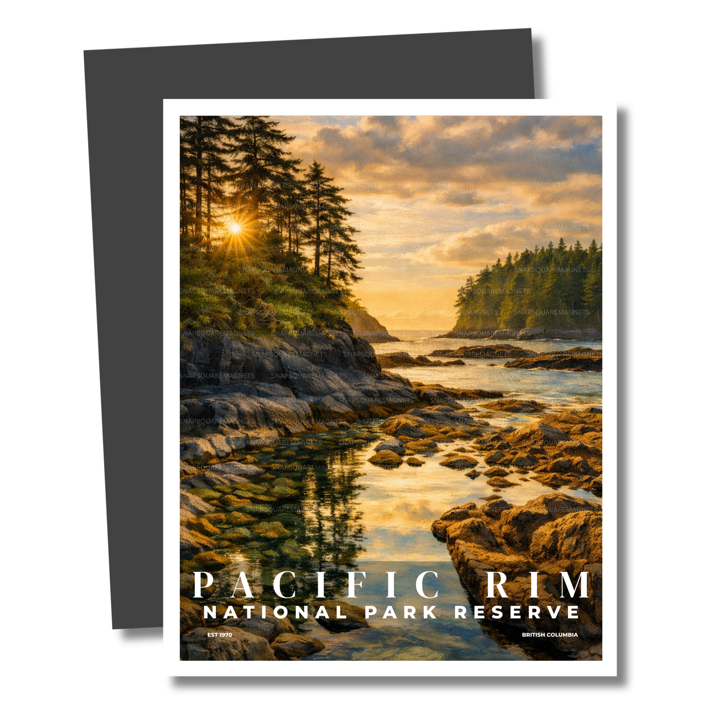 Magnet of Pacific Rim National Park Reserve with a sunset over a rocky coastline.