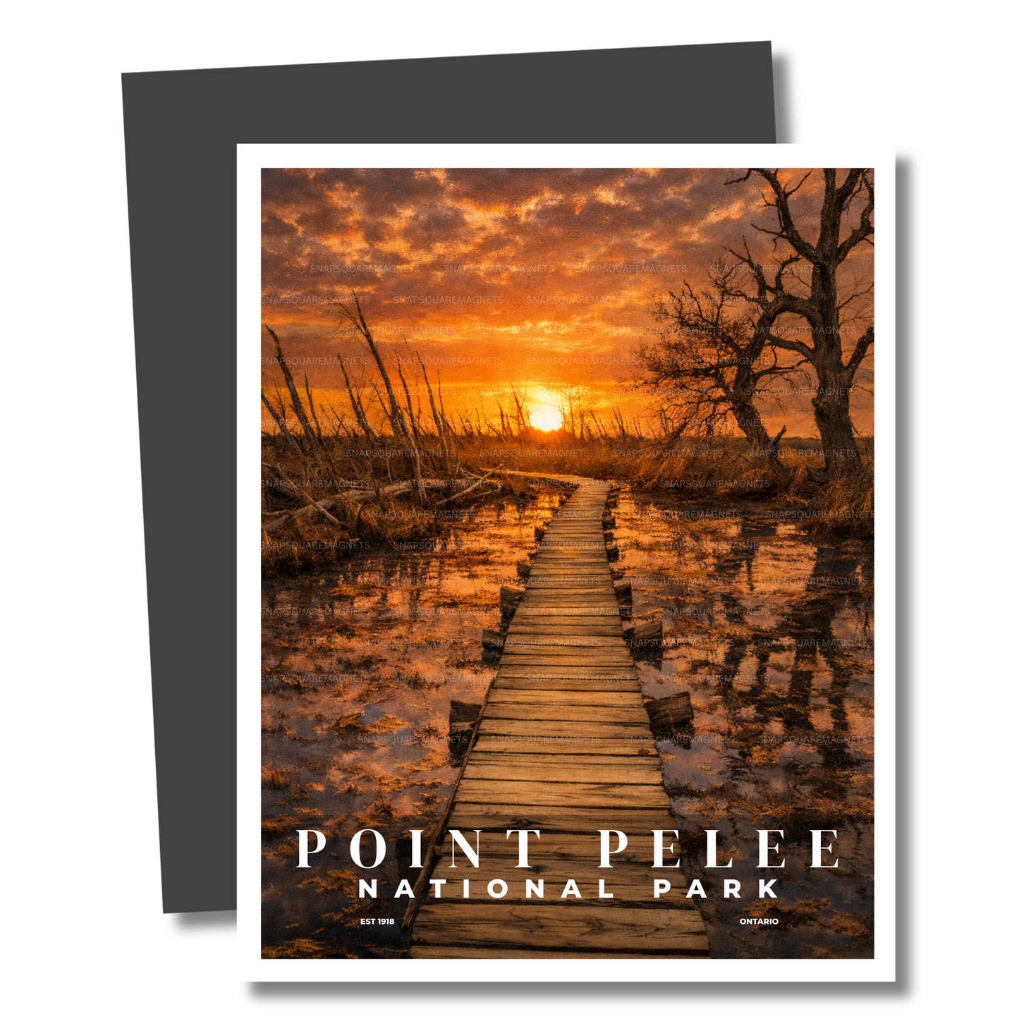 Magnet of Point Pelee National Park with a sunset over a wooden dock.