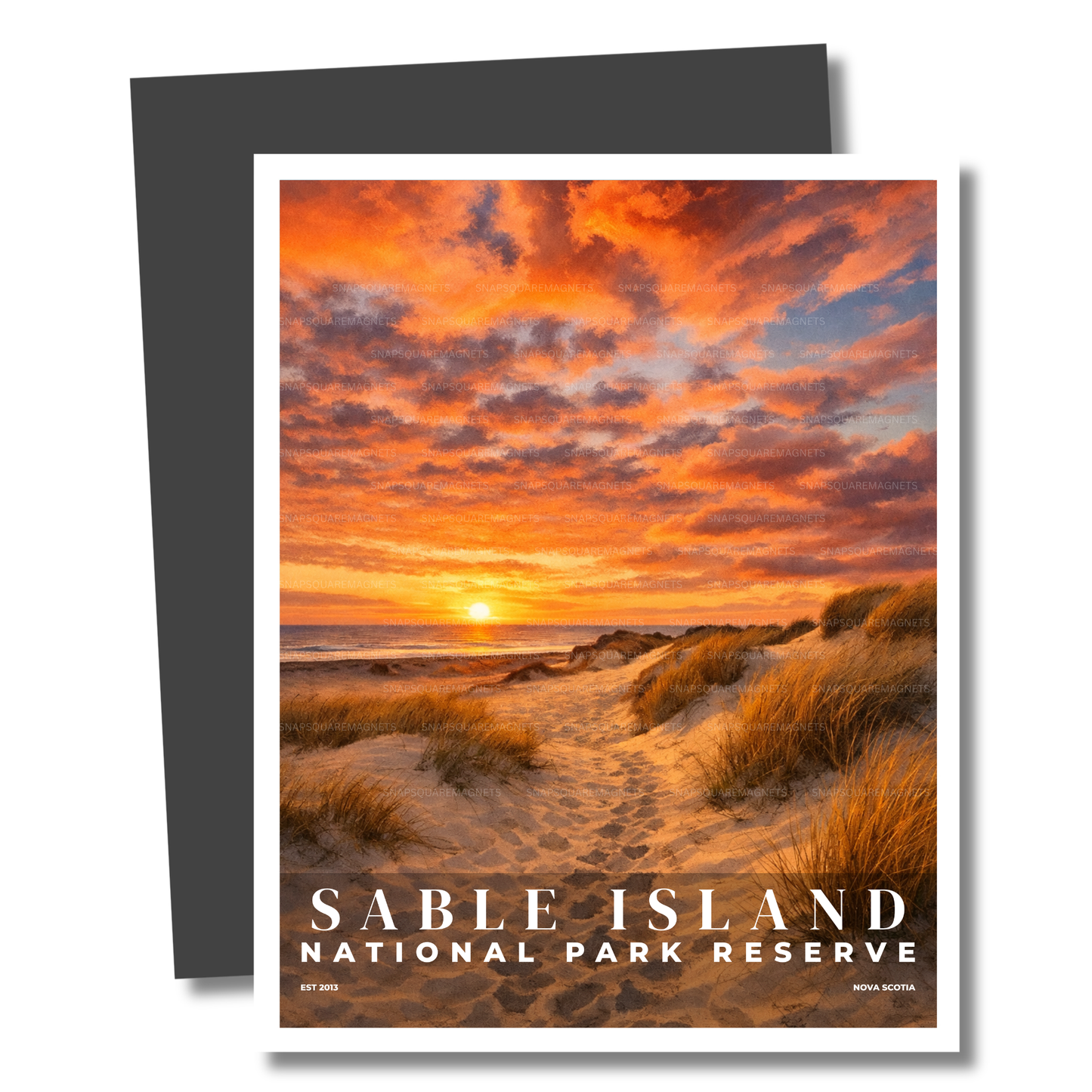 Magnet of Sable Island National Park Reserve with a sunset over a beach and dunes.