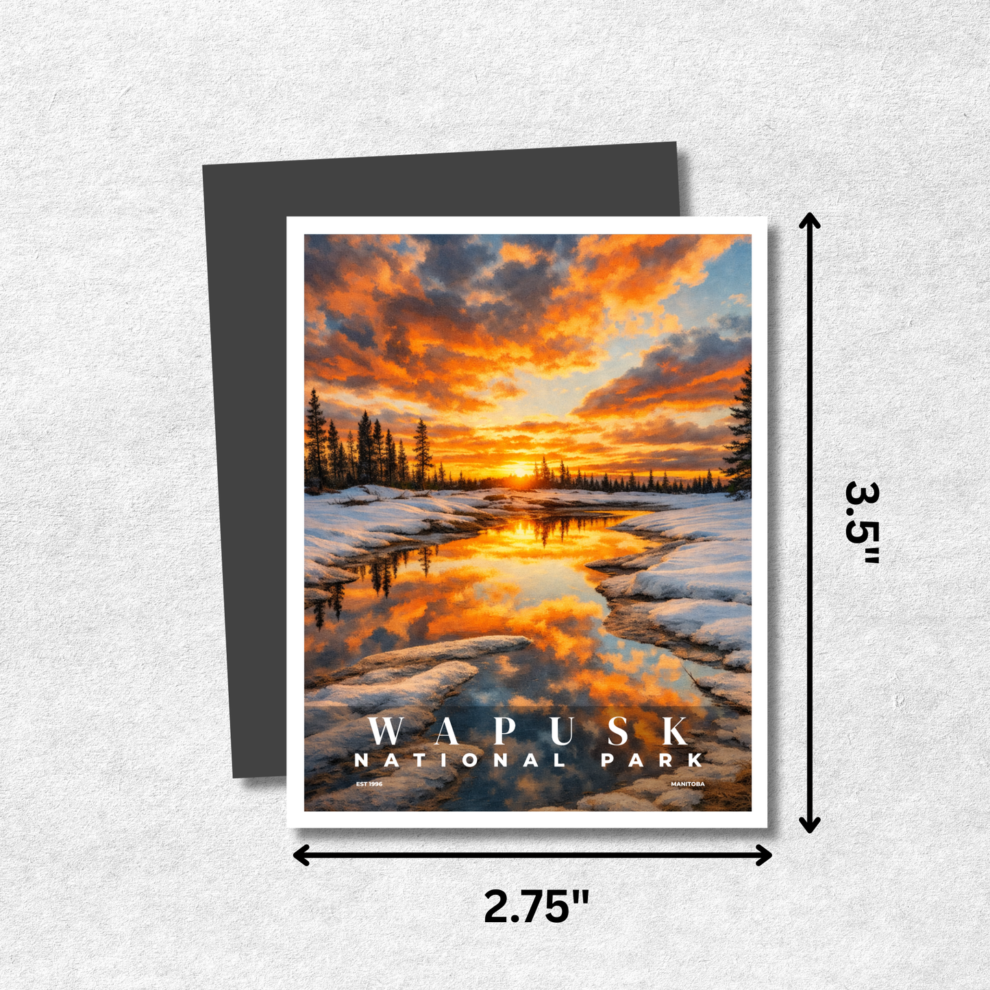 Magnet of Wapusk National Park with dimensions on a textured surface